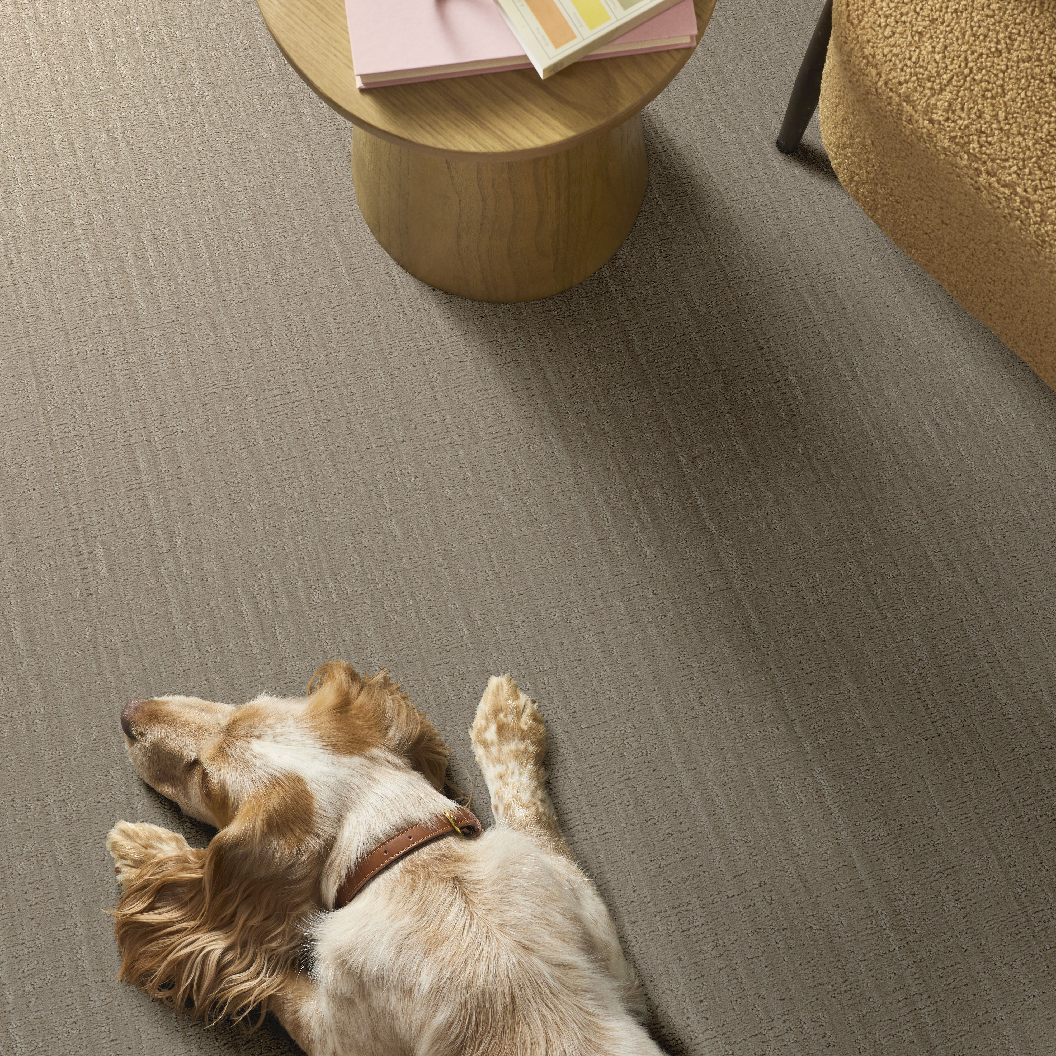 Shady Stroll - Dried Wheat Carpet | Shaw Floors